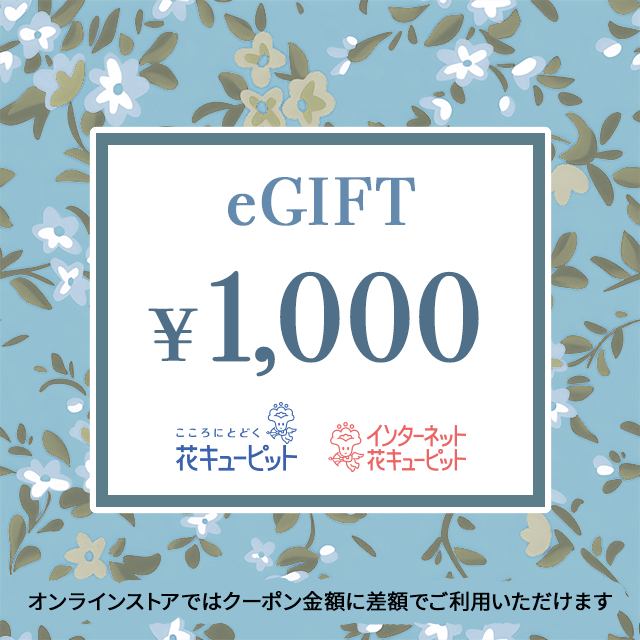 Eお母さん いじらしい 応募券 確認用